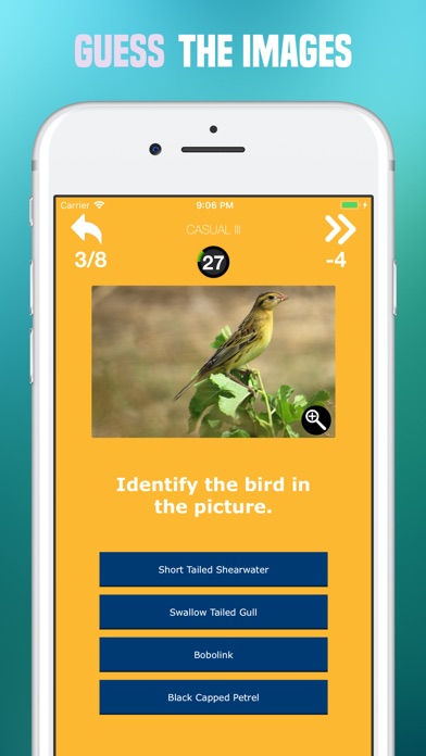 Birds Quiz - Birding Trivia screenshot 2