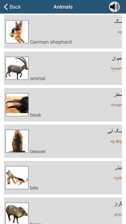 Learn Persian - 50 languages screenshot-3