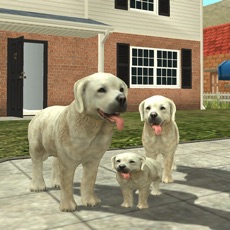 Activities of Dog Sim Online: Build A Family