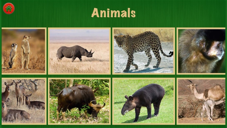 Animal World Pro For Fun screenshot-3