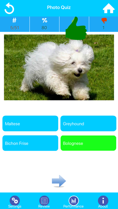 Dog Breeds Guide & Quiz screenshot 4