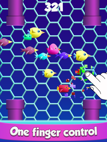Cool Birds Game - Fun Smash screenshot 3