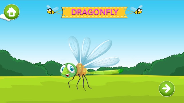 Learn about Insects(圖5)-速報App