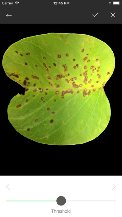 【图】Leaf Doctor(截图2) 【图】Leaf Doctor(截图2)