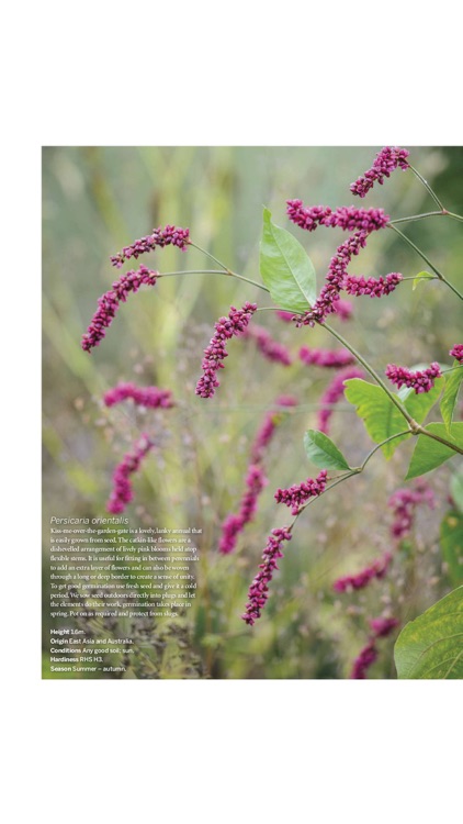 Gardens Illustrated