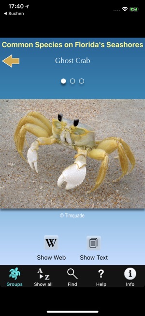 Florida Seashore Wildlife(圖3)-速報App