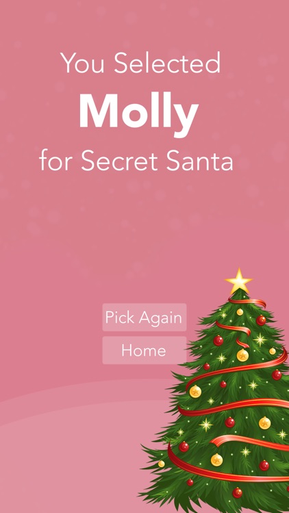 Secret Santa Generator Pro