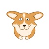 Gerbee - cute corgi animal