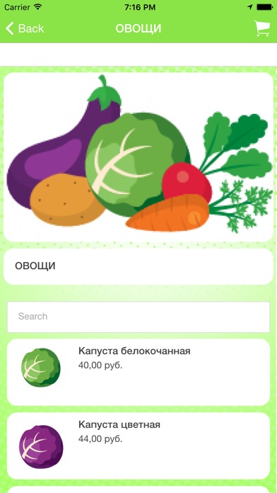 Овощная база screenshot 2