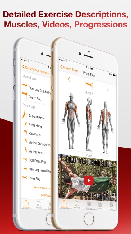 Calisthenics Mastery Pro, Bodyweight Workout