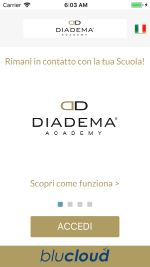 Diadema Academy(圖2)-速報App