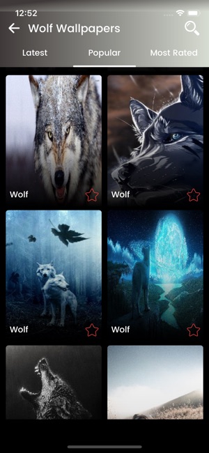 Wolf Wallpapers - Backgrounds(圖4)-速報App