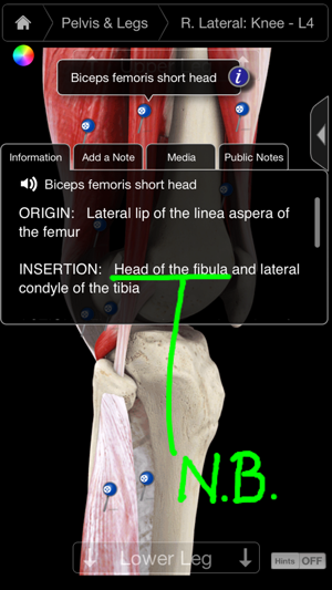 Muscle System Pro III - iPhone(圖2)-速報App