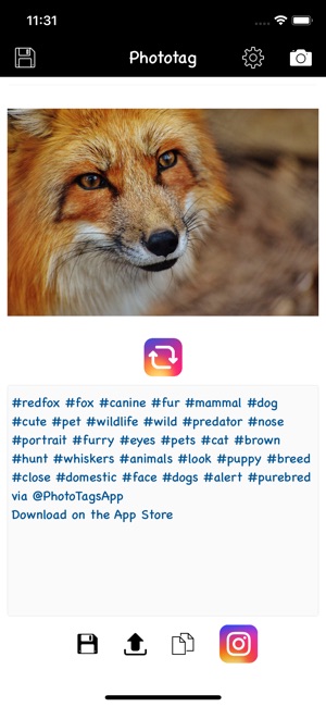 Phototag hashtag generator PRO(圖7)-速報App