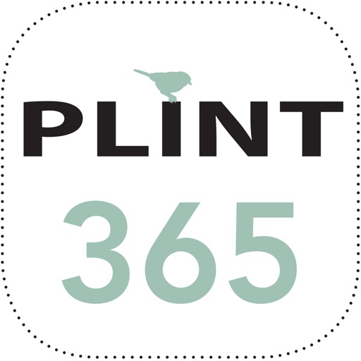 Plint