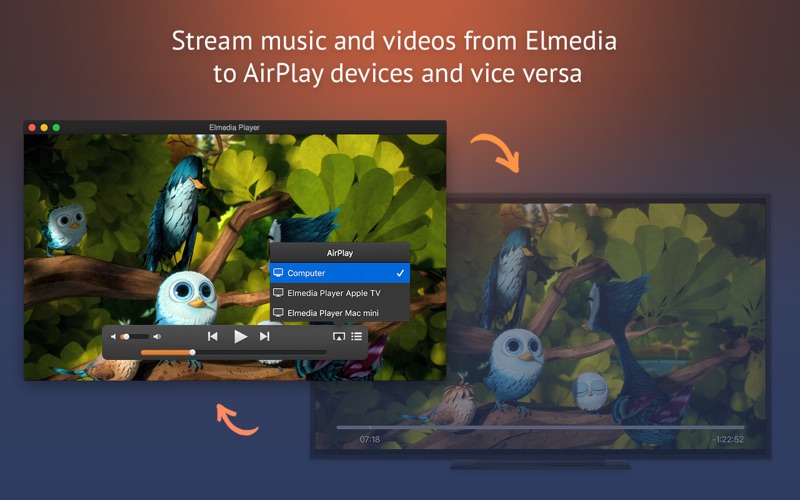 elmedia video player unresponsive