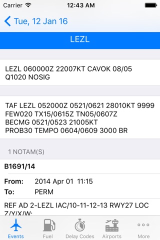 737 Pilot screenshot 2