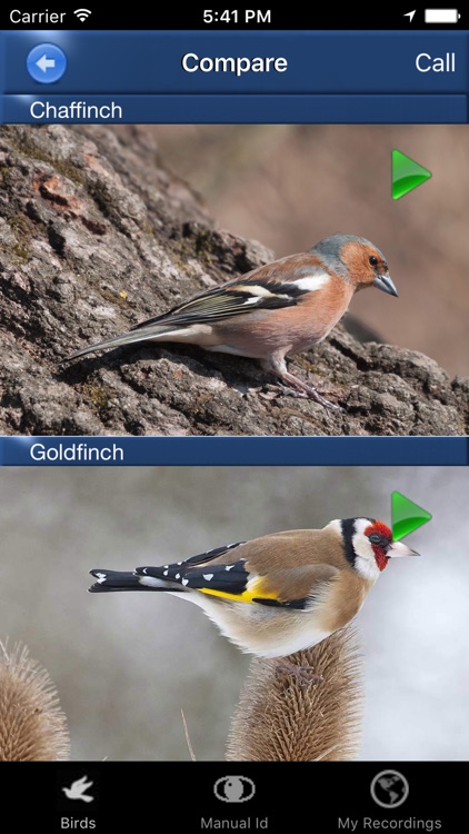 Bird Song Id Netherlands - Automatic Recognition screenshot-3