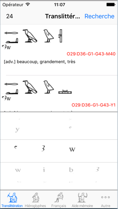 Dict Hiéroglyphes "Aaou"