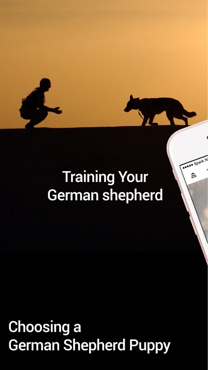 German Shepherd Puppy Training