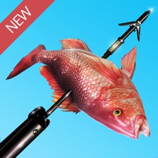 Activities of Scuba Fishing: Spearfishing 3D