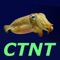 Choose This not That for Crohn’s Disease