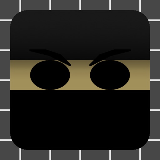 Ninja Descent Icon