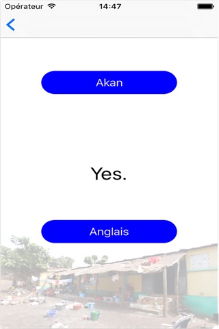 AkanEnglish screenshot 4