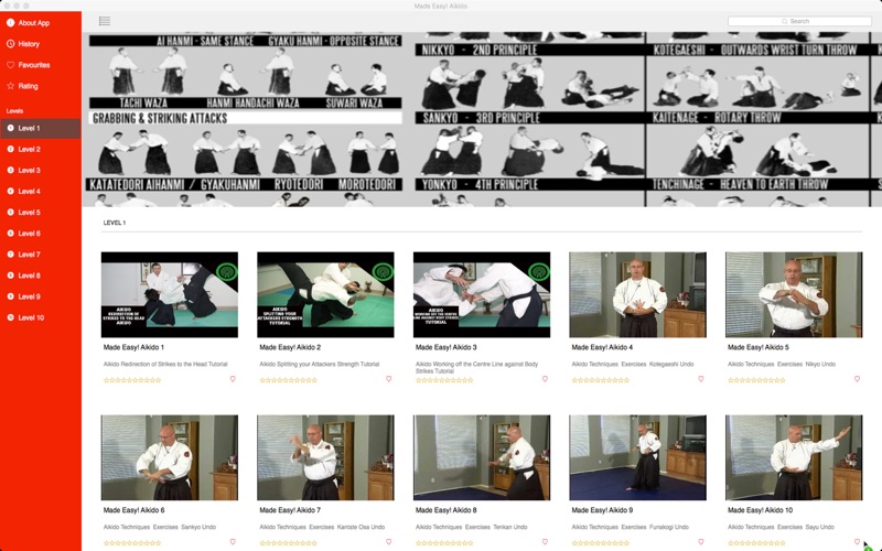 Made Easy! Aikido thumbnail 2