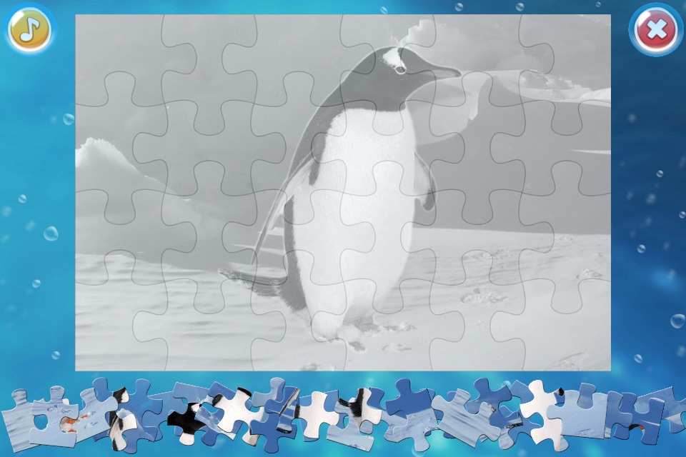 Arctic Animals Puzzle screenshot 2