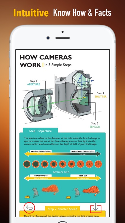 ISO Setting for  Beginners:Guide and Tips