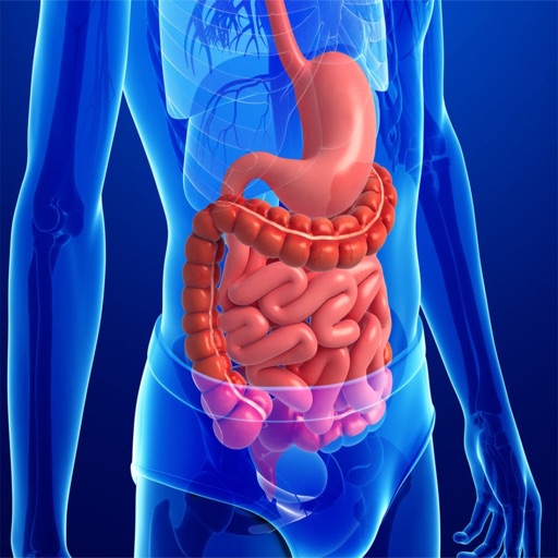 Human Anatomy : Digestive System iOS App