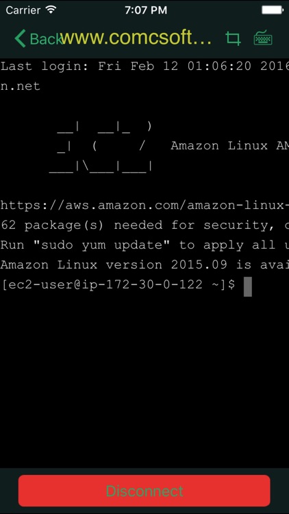 iTerminal Pro – SSH Telnet Client screenshot-3