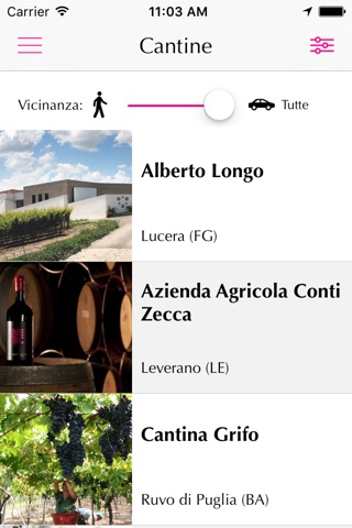 Le Strade del Vino Puglia screenshot 3