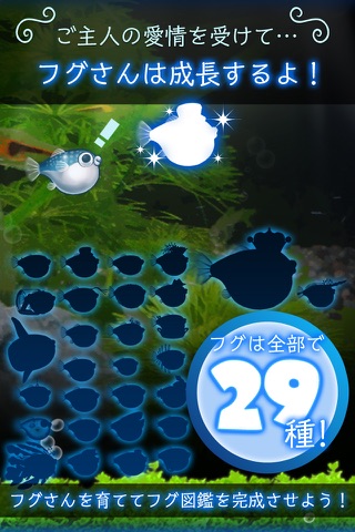 ぼくのフグさん水族館 【無料でかわいい癒し系育成ゲーム】 screenshot 4