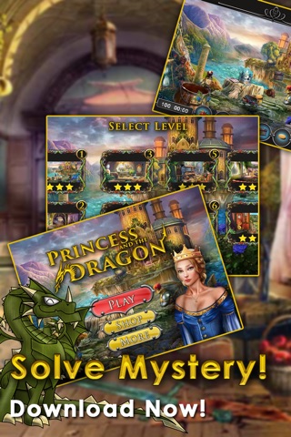 Kings and the Dragon Pro screenshot 3