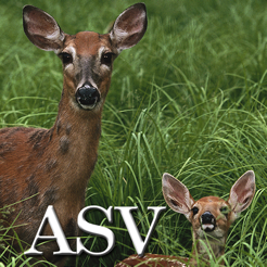 Psalm Daily Quotes ASV on the App Store Psalm Daily Quotes ASV on the App Store