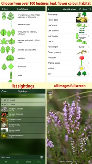 Tree Id Canada - identify over 1000 native Canadian species (圖5)-速報App