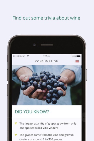 Wine in Moderation screenshot 3