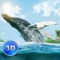 Be an ocean whale in the survival simulator