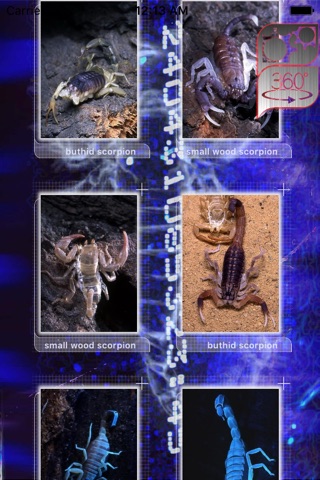 3D scorpions screenshot 2