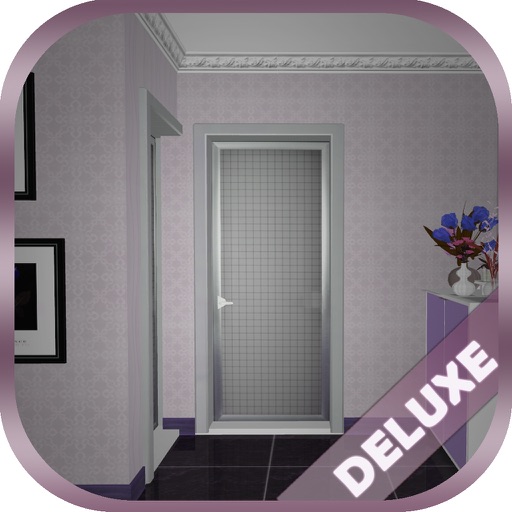 Can You Escape Crazy 9 Rooms Deluxe icon