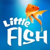 Little Fish Game