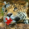Animals Puzzles Zone