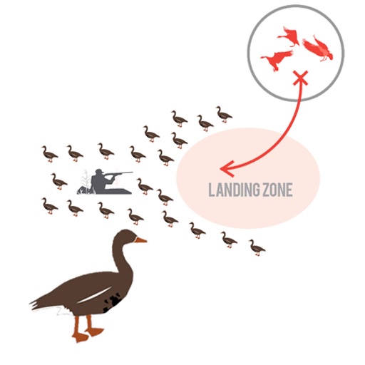Specklebelly Goose Hunting Diagram Builder for Waterfowl Hunting