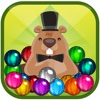 Pet Frenzy - The Most Famous Puzzle Free Game