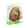 Zespri® Kiwi Fun