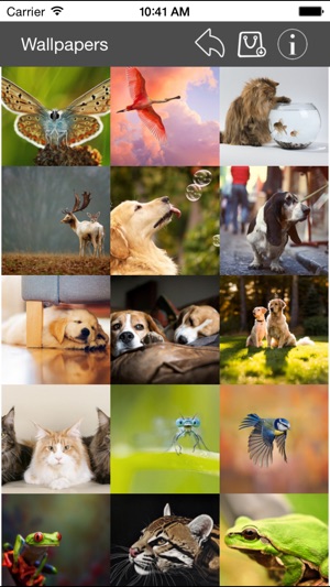 Wallpaper Collection Animals Edition(圖4)-速報App