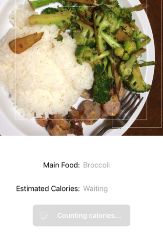 Food Calorie Counter - Automatically guess the calorie count in your food screenshot 3
