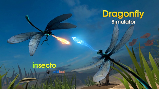 Dragonfly Simulator(圖2)-速報App